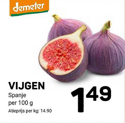 VIJGEN