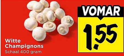 Witte Champignons