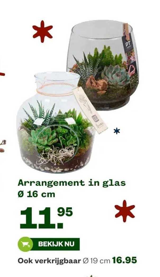 Arrangement in glas Ø 16 cm