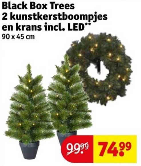 Black Box Trees 2 kunstkerstboompjes en krans incl. LED**