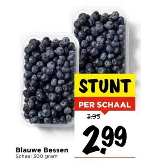 Blauwe Bessen