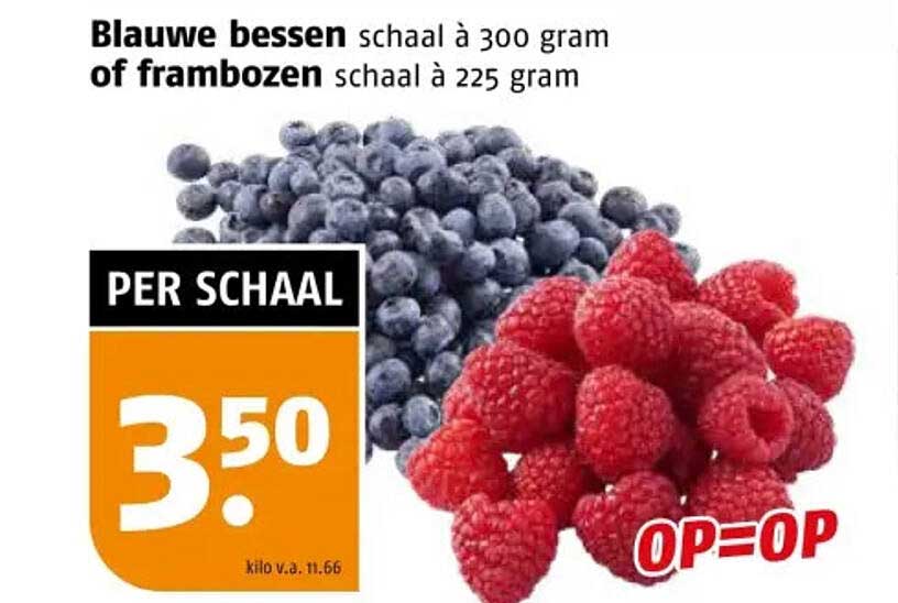Blauwe bessen schaal à 300 gram of frambozen schaal à 225 gram