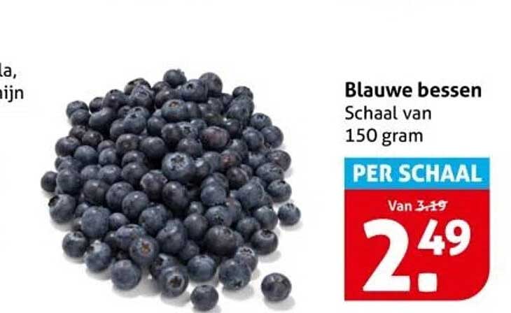 Blauwe bessen