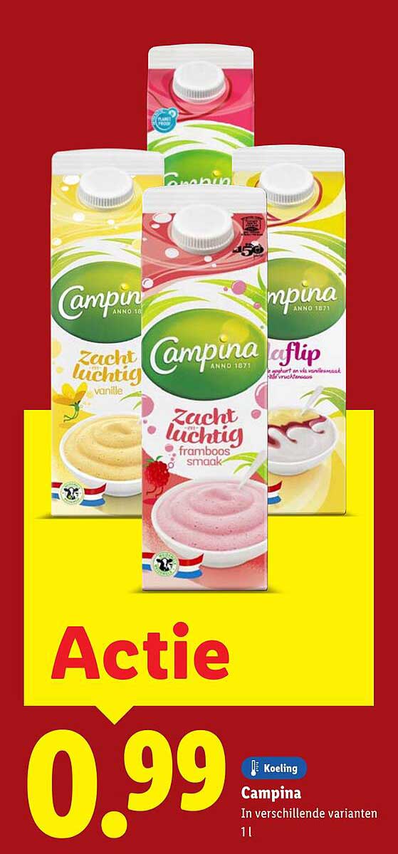 Campina in verschillende varianten 1l