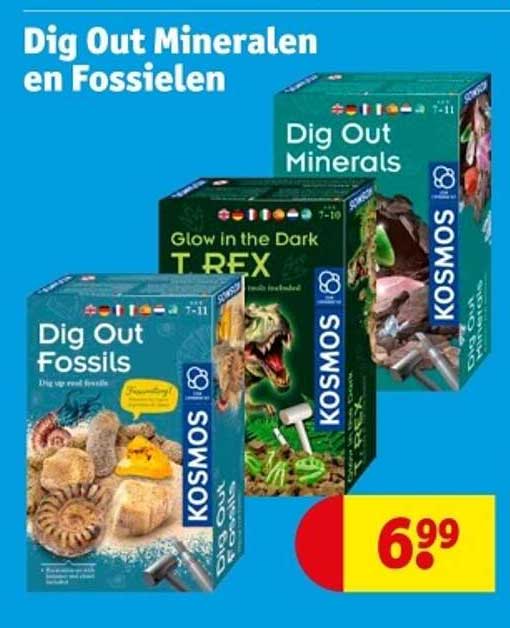 Dig Out Mineralen en Fossielen
