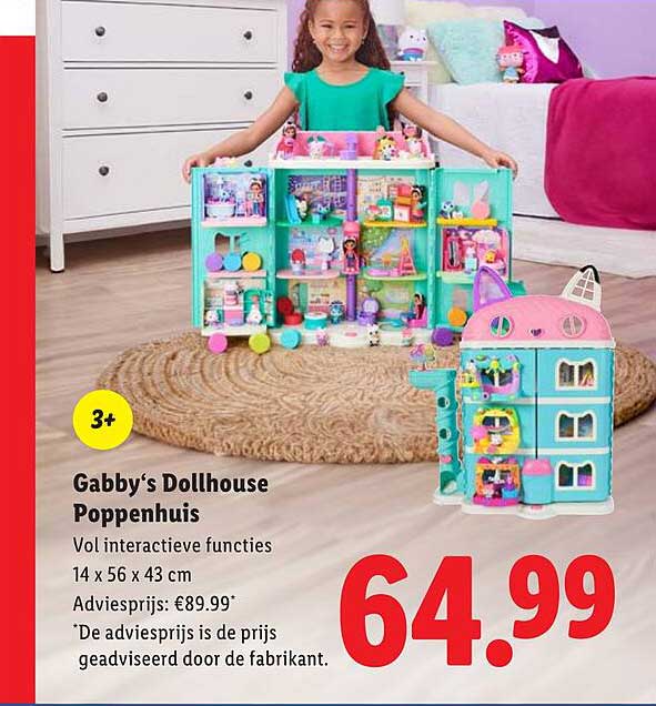 Gabby‘s Dollhouse Poppenhuis