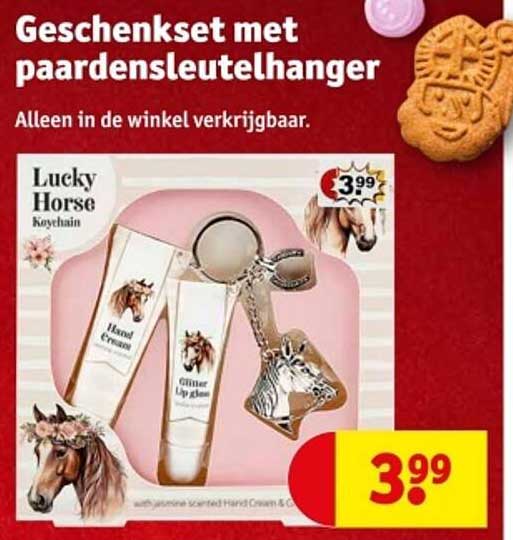 Geschenket met paardsleutelhanger