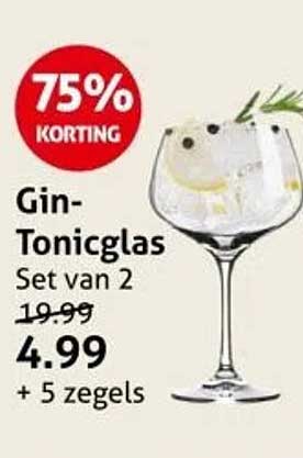 Gin-Tonicglas Set van 2