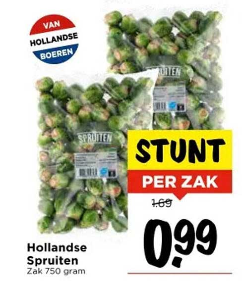 Hollandse Spruiten