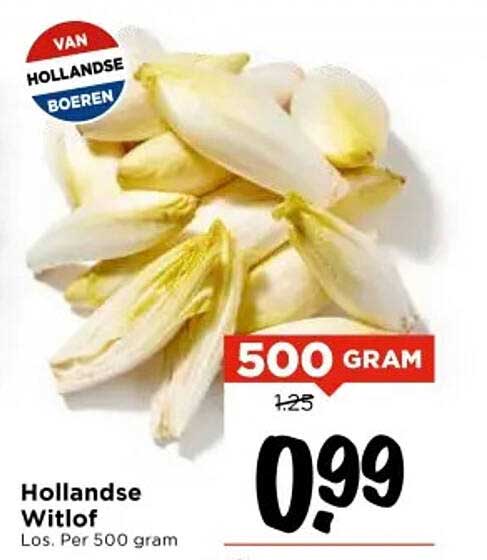 Hollandse Witlof