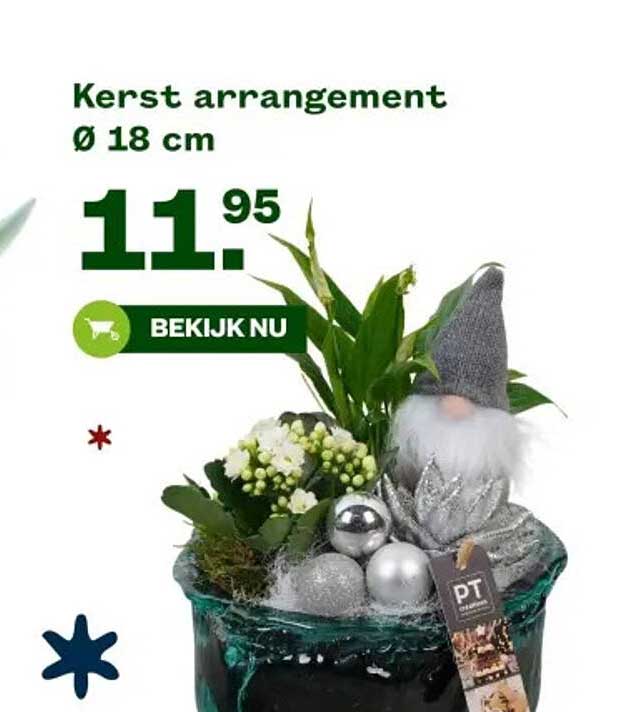 Kerst arrangement Ø 18 cm