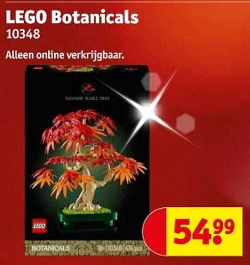 LEGO Botanicals 10348