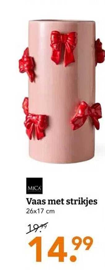 Vaas met strikjes 26x17 cm