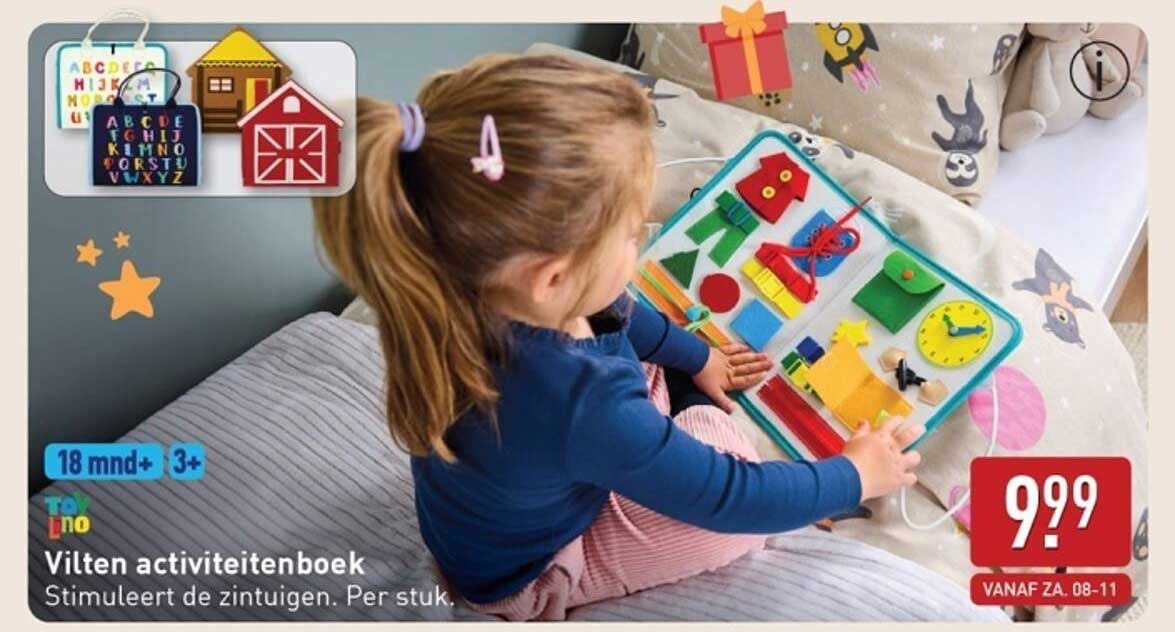 Vilten activiteitenboek