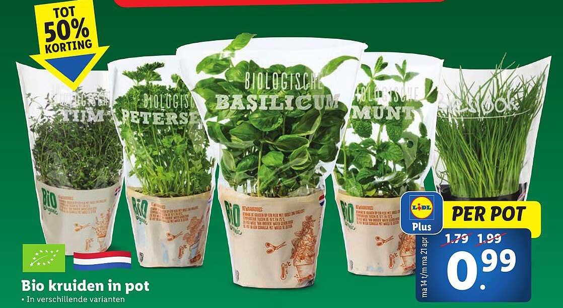 Sitemapcdatahttpsshopinf Inetcombananier En Pot Lidl