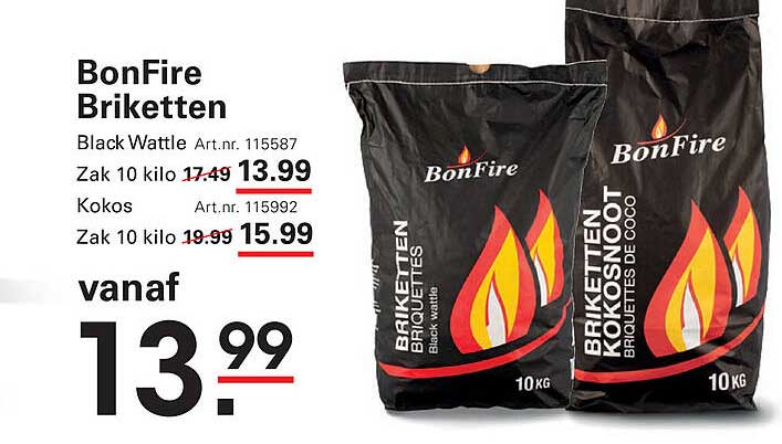 BonFire Briketten