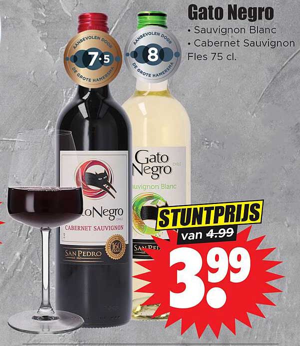 Gato Negro - Sauvignon Blanc & Cabernet Sauvignon Fles 75 cl