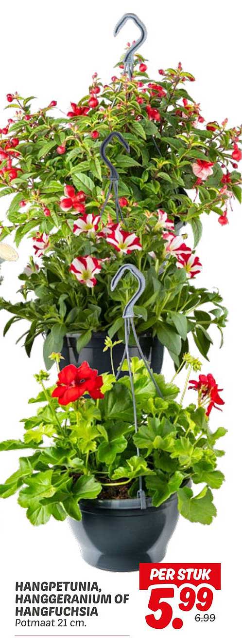HANGPETUNIA, HANGGERANIUM OF HANGFUCHSIA Potmaat 21 cm.
