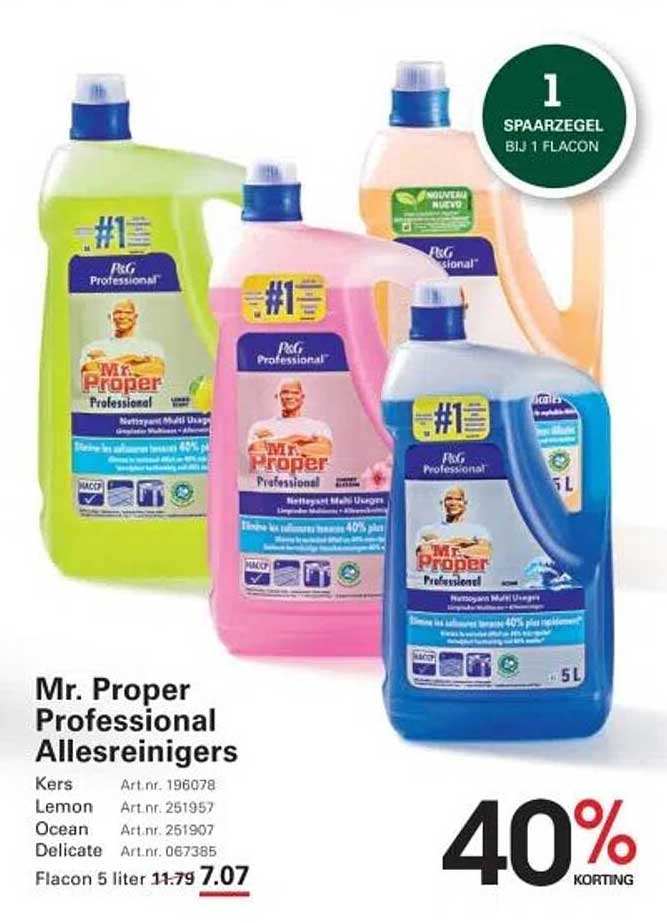 Mr. Proper Professional Allesreinigers