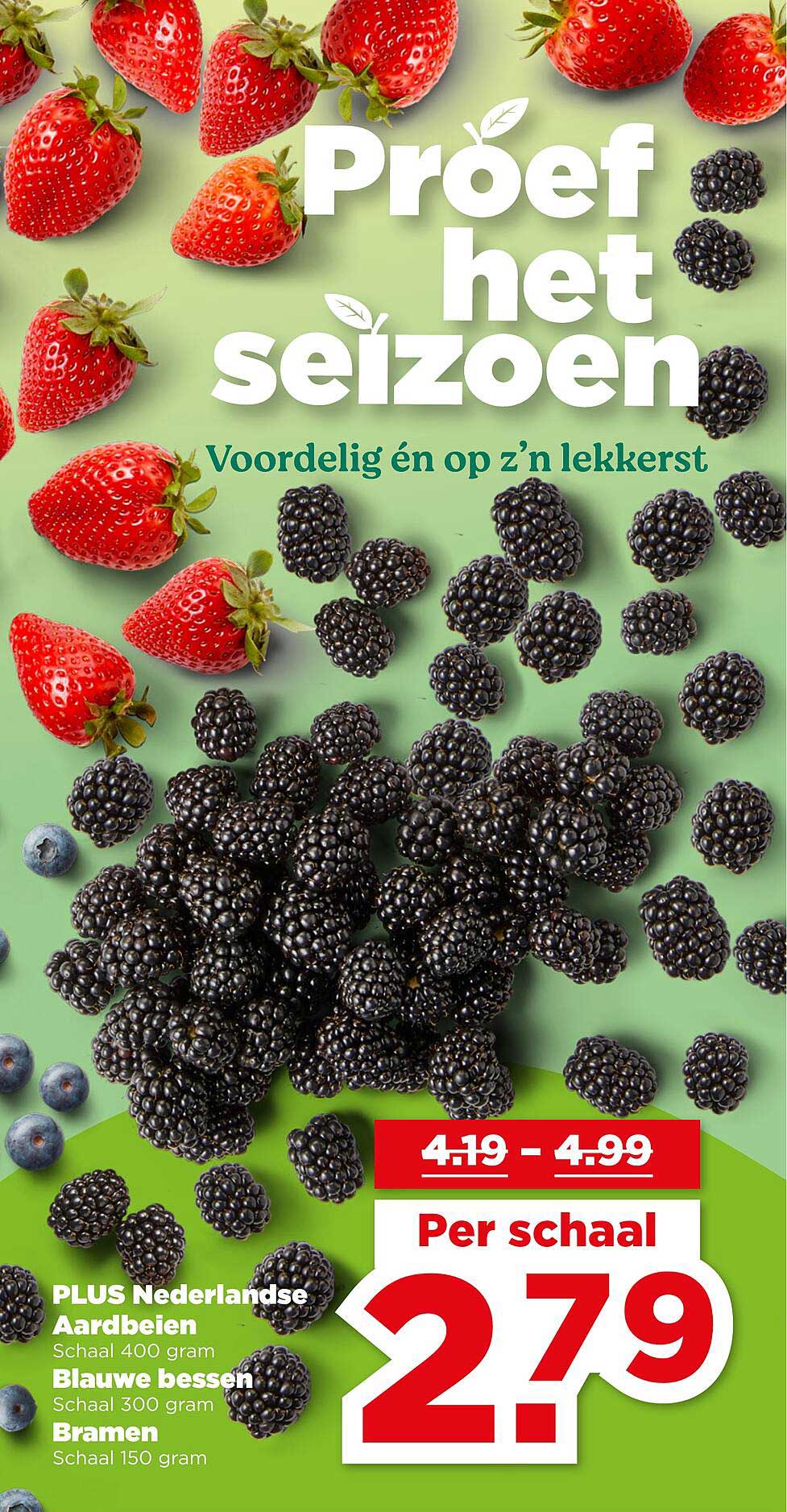PLUS Nederlandse Aardbeien, Blauwe bessen, Bramen