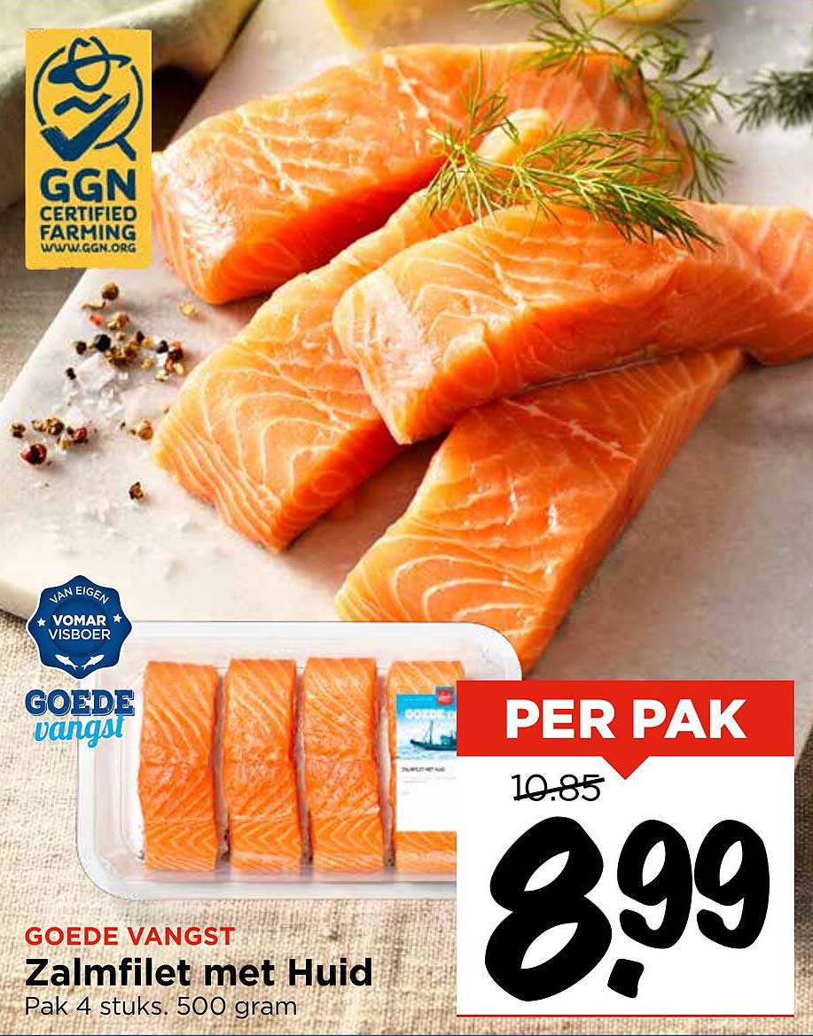 Zalmfilet met Huid