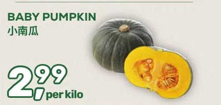 BABY PUMPKIN 小南瓜