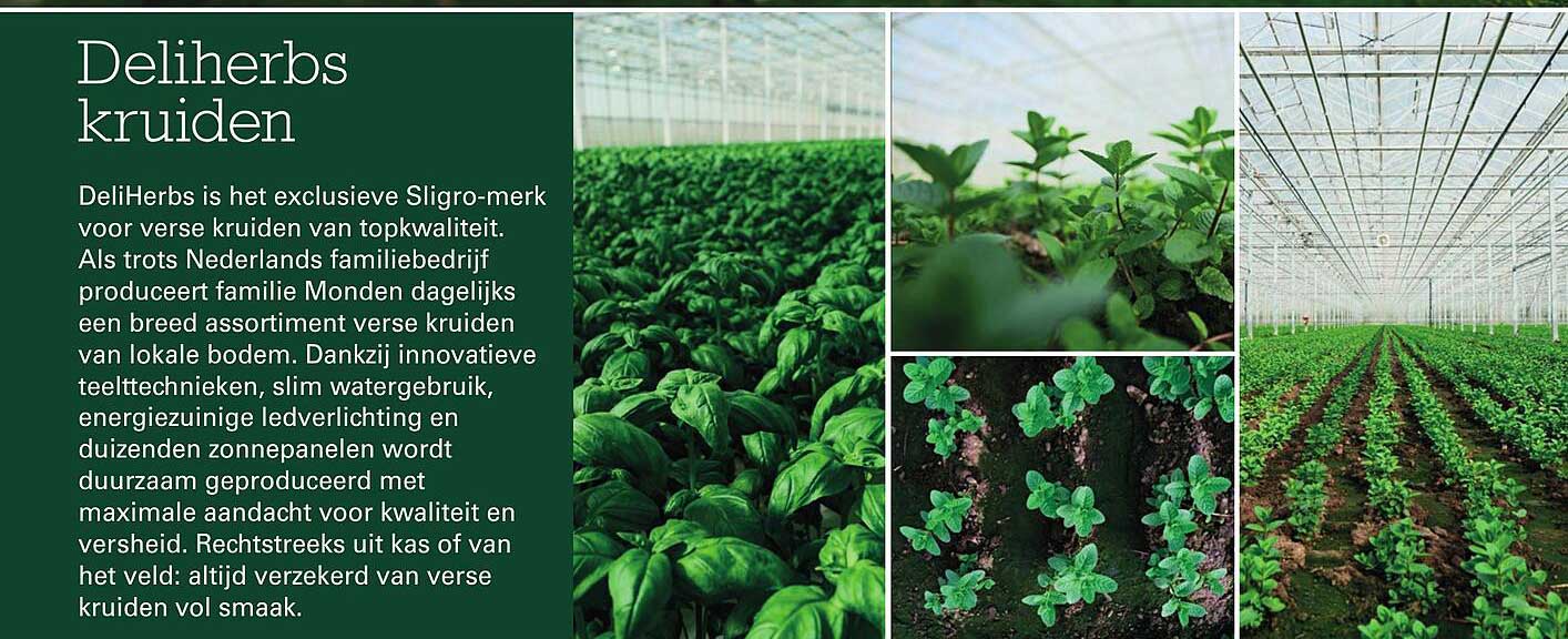 DeliHerbs kruiden