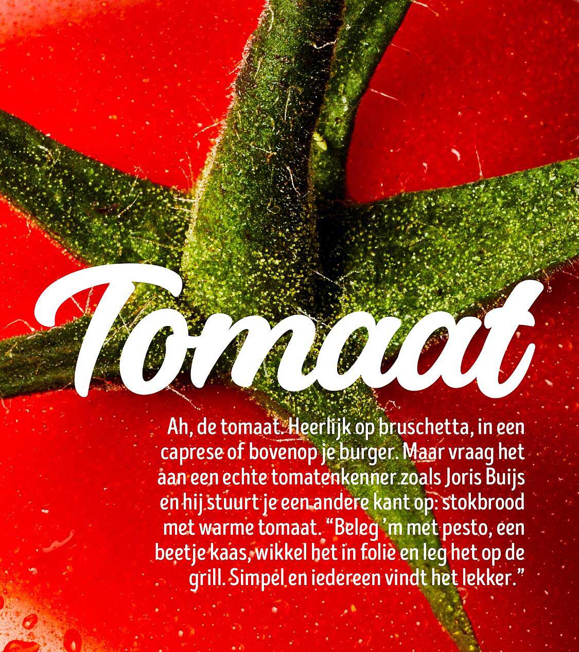 Tomaat