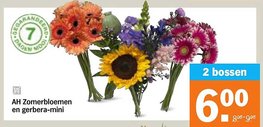 AH Zomerbloemen en gerbera-mini