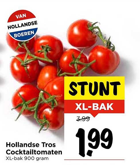 Hollandse Tros Cocktailtomaten XL-bak 900 gram