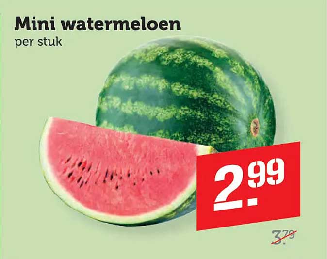 Mini watermeloen per stuk