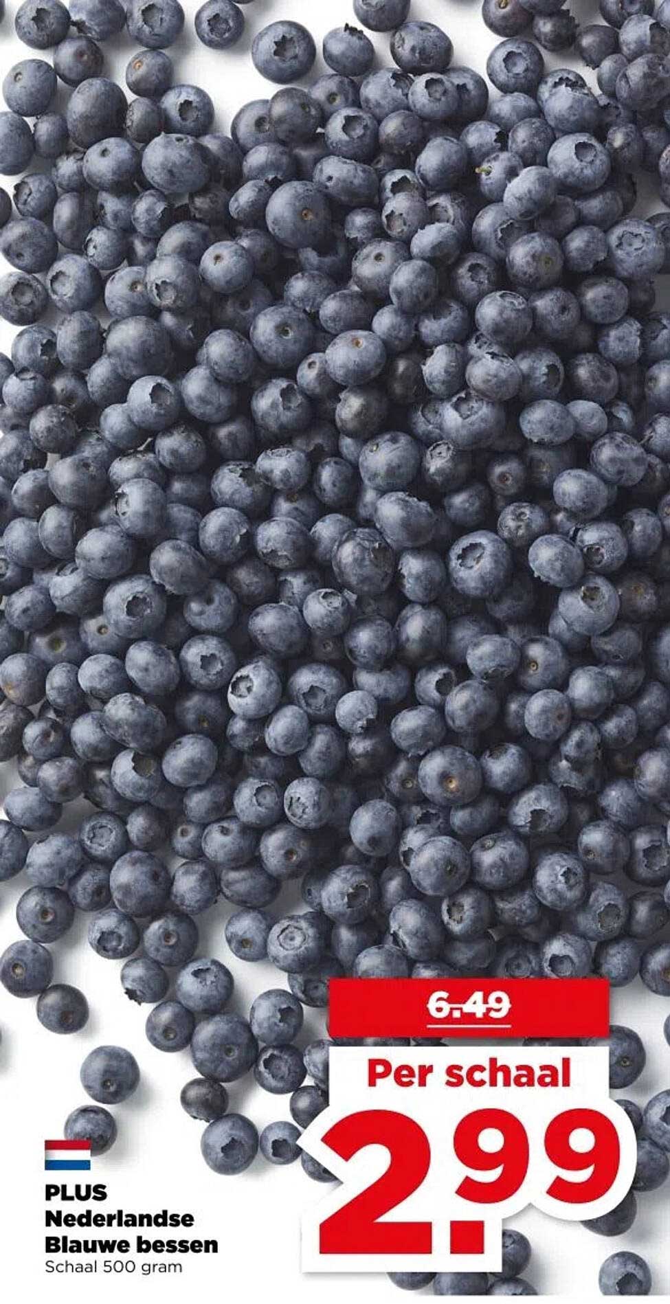 PLUS Nederlandse Blauwe bessen 500 gram