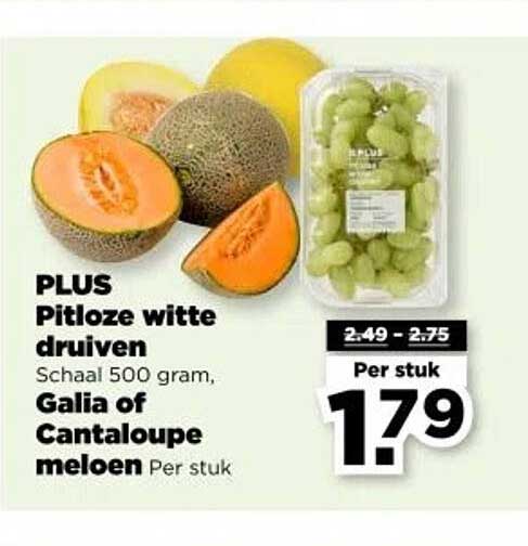 PLUS Pitloze witte druiven Schaal 500 gram, Galia of Cantaloupe meloen