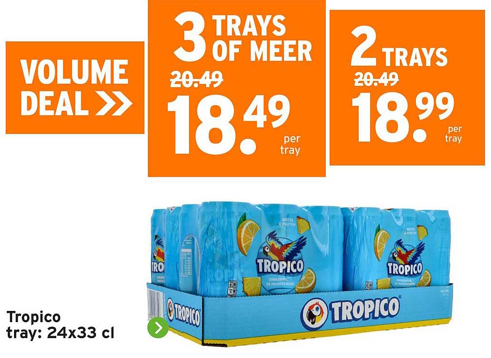 Tropico tray: 24x33 cl