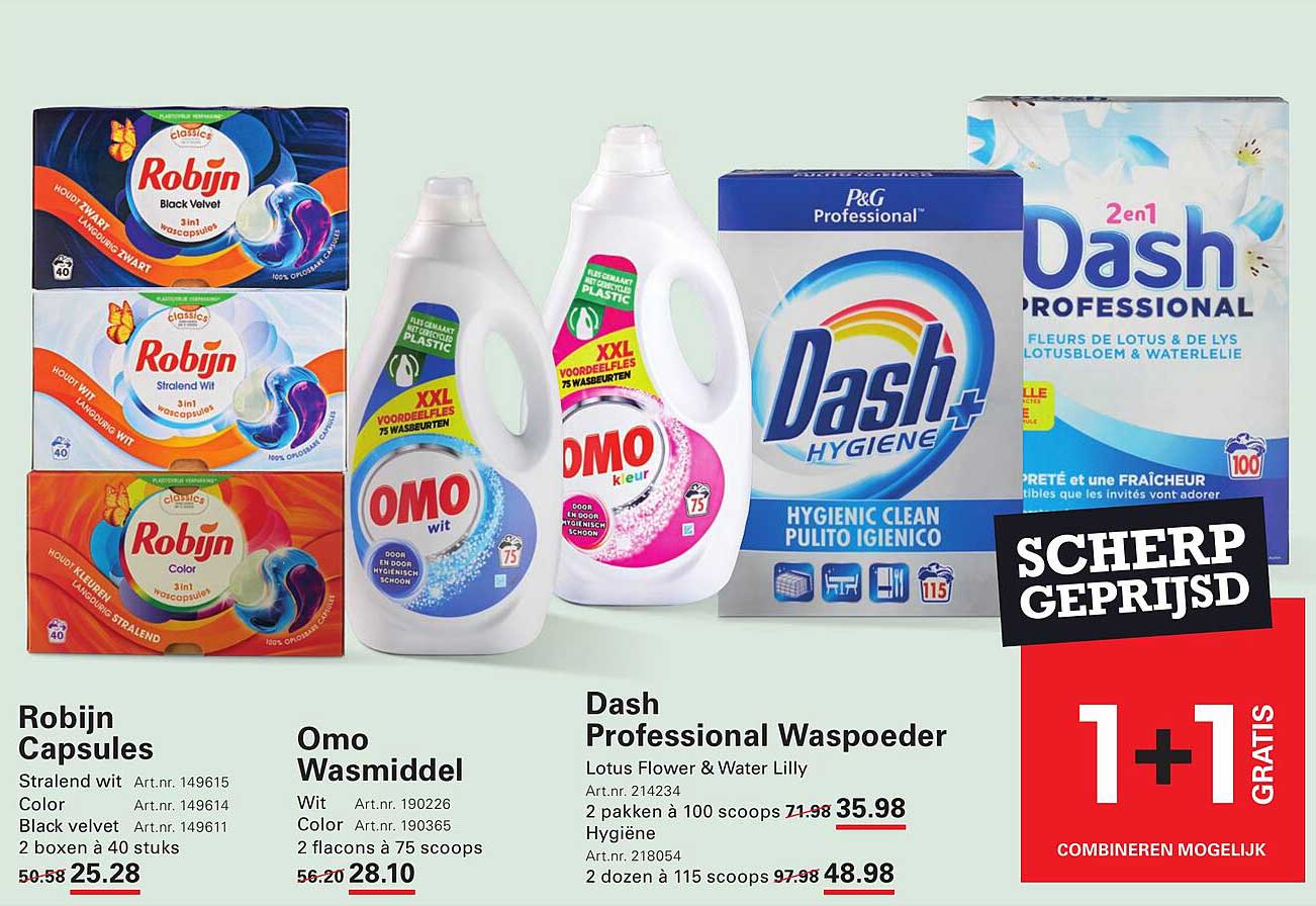 1 + 1 Gratis Dash Professional Waspoeder
