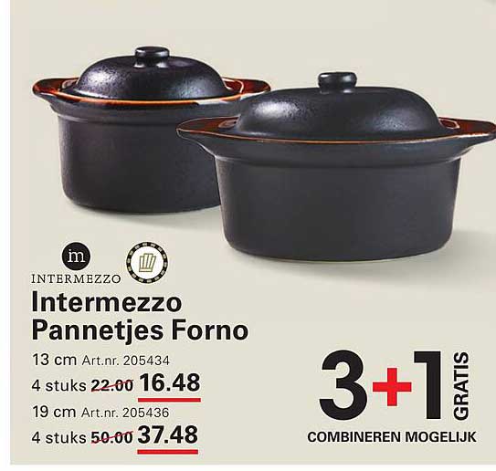 Intermezzo Pannetjes Forno