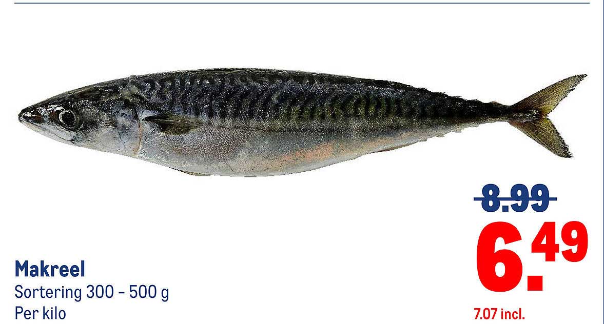 Makreel Sorteering 300 - 500 g Per kilo