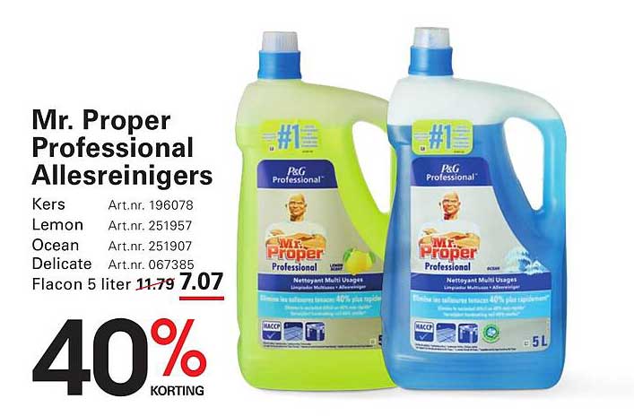 Mr. Proper Professional Allesreinigers