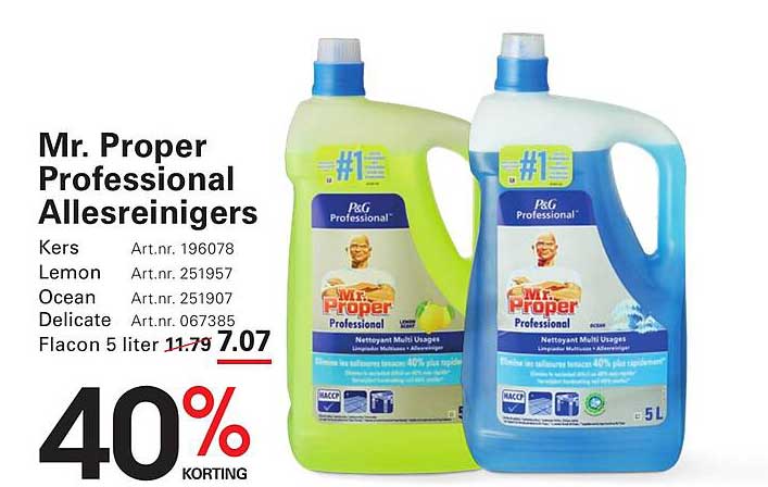 Mr. Proper Professional Allesreinigers