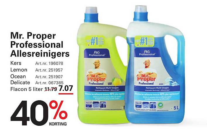 Mr. Proper Professional Allesreinigers