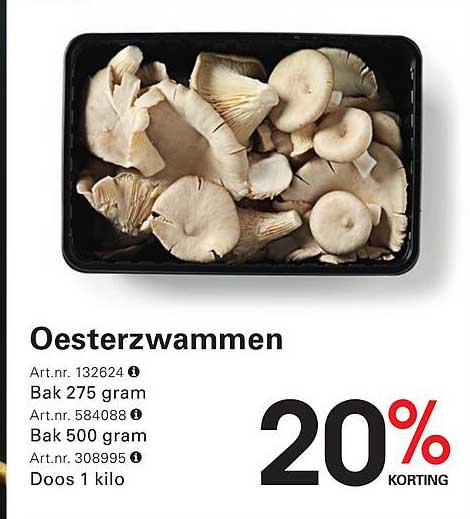 Oesterzwammen