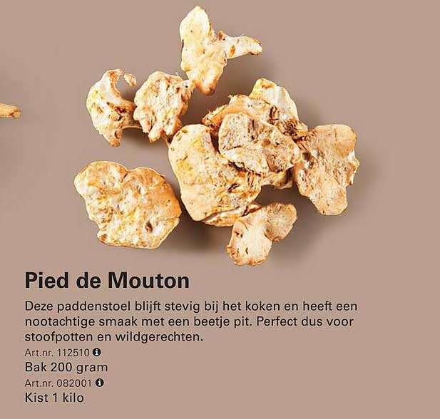 Pied de Mouton