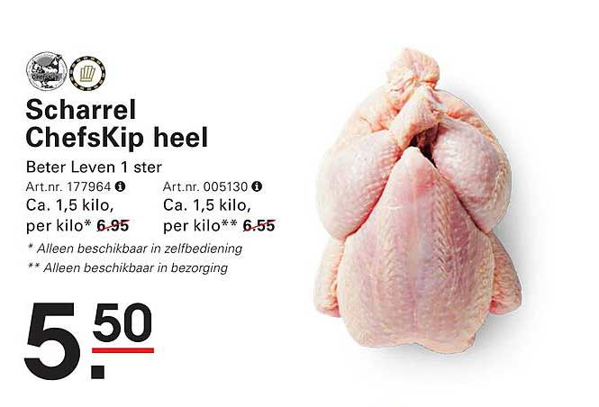 Scharrel ChefsKip heel