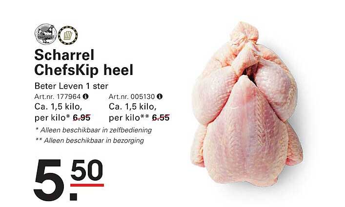 Scharrel ChefsKip heel