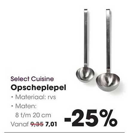 Select Cuisine Opscheplepel