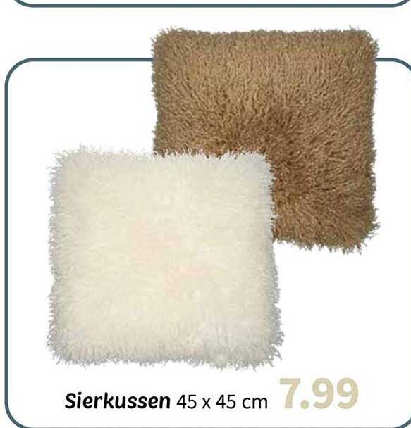 Sierkussen 45 x 45 cm