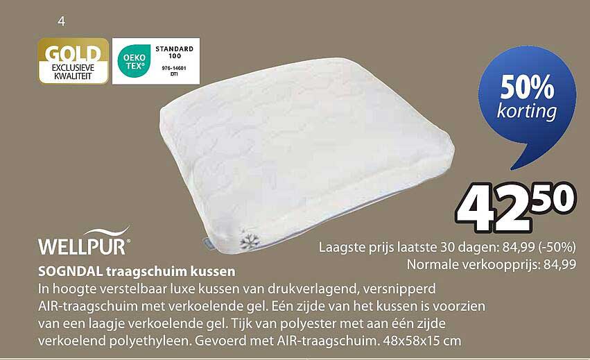 SOGNDAL traagschuim kussen