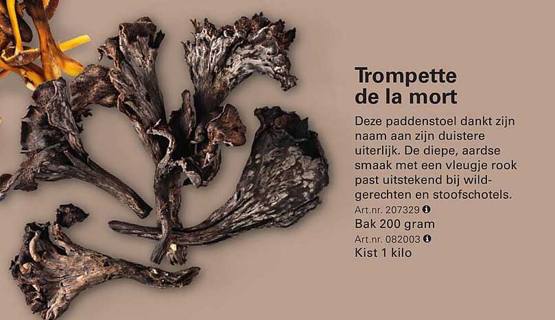 Trompette de la mort