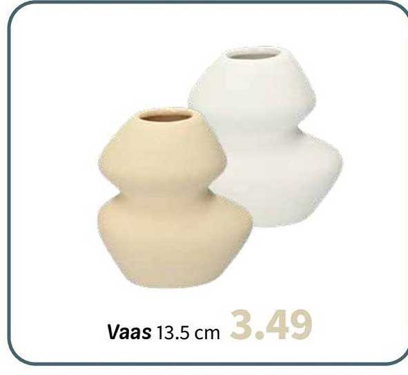 Vaas 13.5 cm