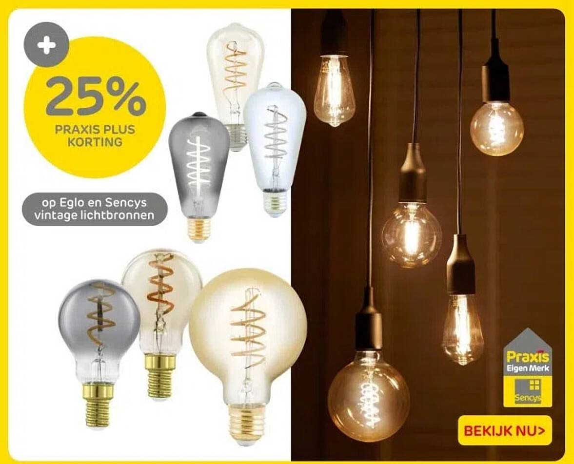 25% PRAxis Plus korting op Eglo en Sencys vintage lichtbronnen